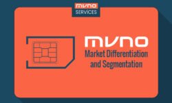 MVNO Strategy: Market Differentiation and Segmentation